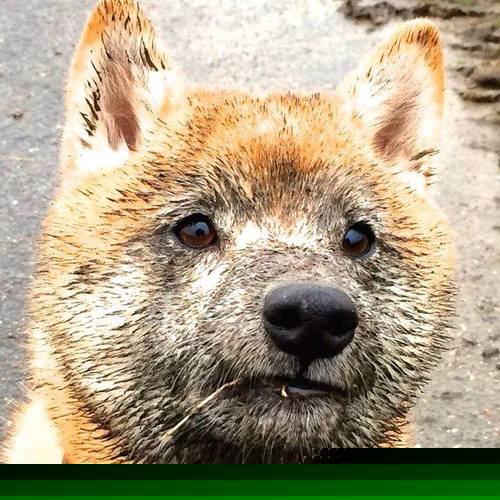 【动态时间限制】投手每次投球时间不得超过10秒的试点效果，投手投球时投球应快准