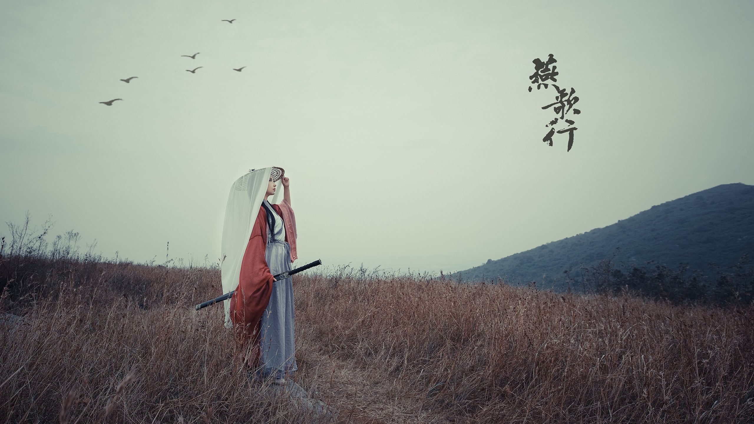 提前布局：车队如何应对未来比赛环境，车队未来发展的建议