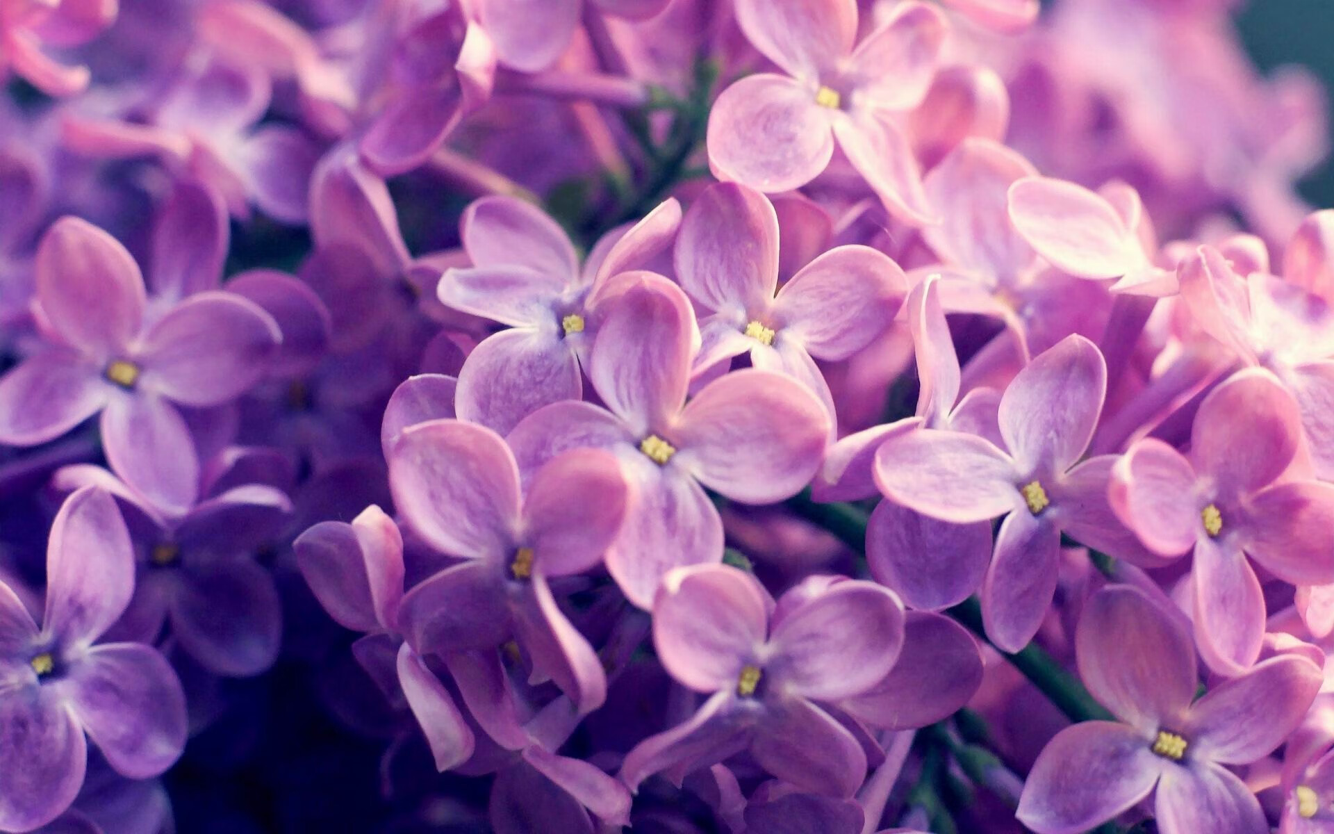 意甲队伍引入新技术，用科技提升表现，意甲引入中国