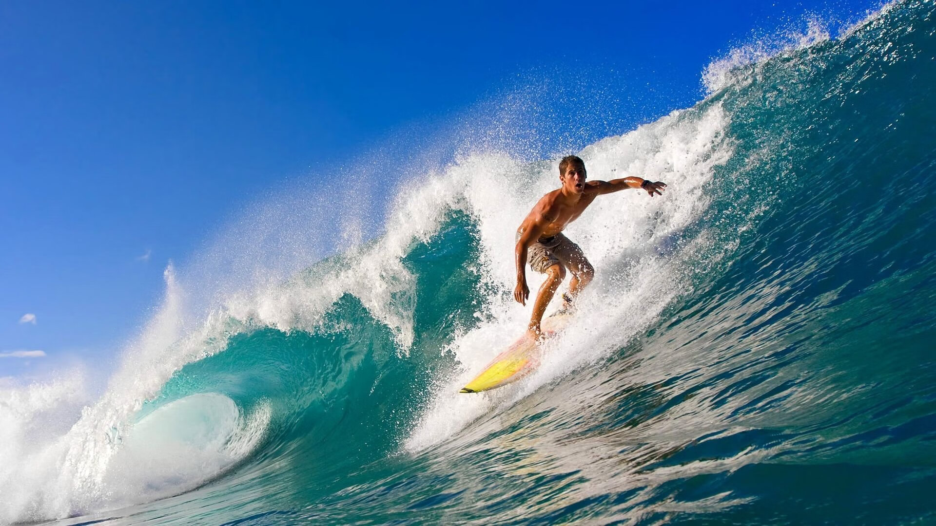 开云棋牌-“萨尔·巴赫的领袖魅力，南非羚羊队乘风破浪”